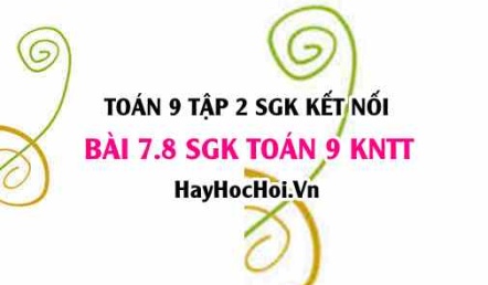 Bài 7.8 SGK Toán 9 tập 2 Kết nối tri thức